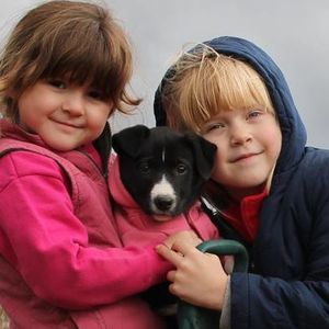 Meet your Posher, Carly